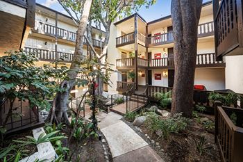 A courtyard with a tree and a cat.
